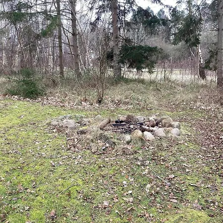 12 Person In Rodby-by Traum *